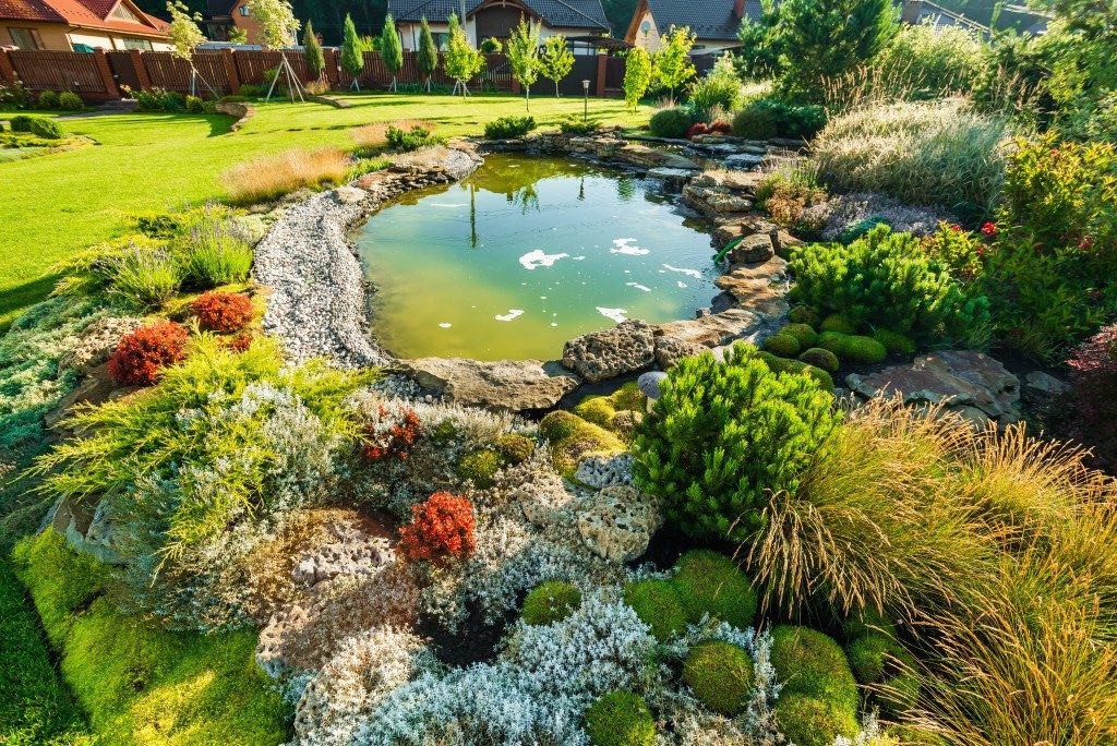 small lagoon in a garden